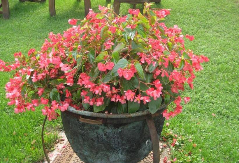 پانسیون B&b Vidmar, Lesce Bled