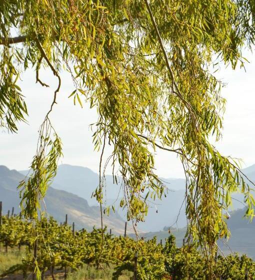 فندق Maison Montagne