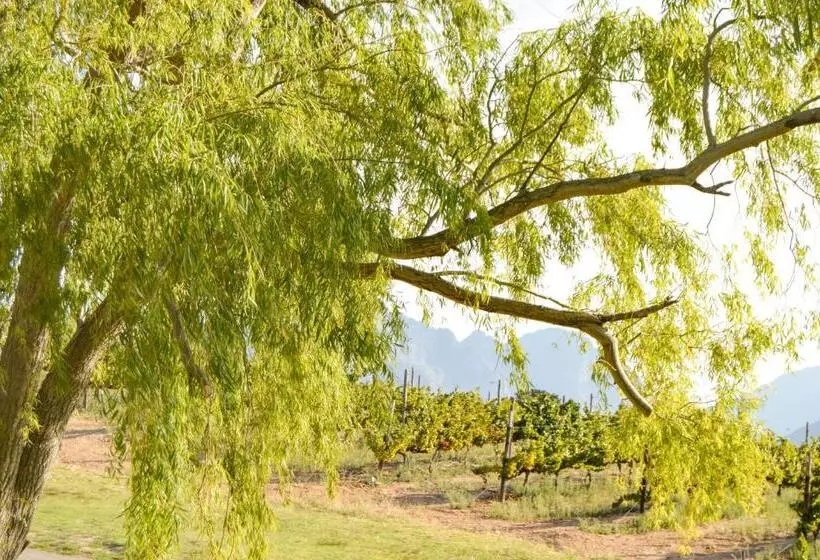 هتل Maison Montagne