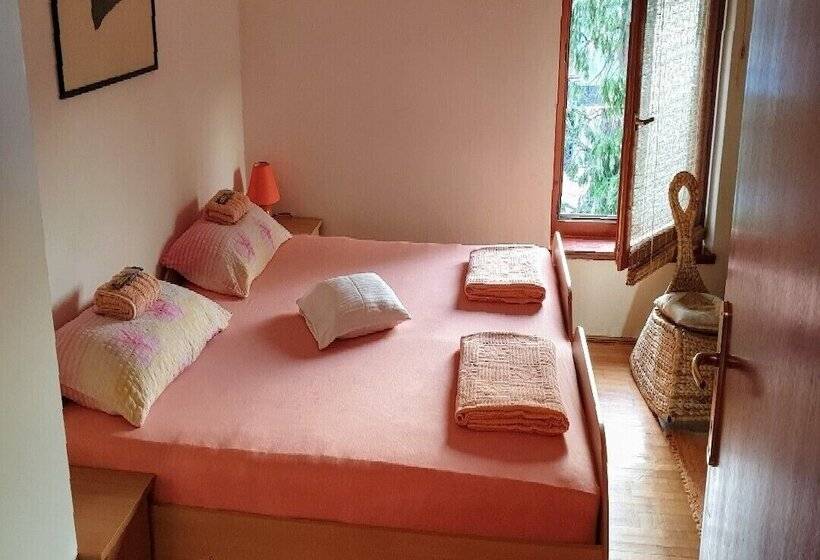 پانسیون Guest House Bikica