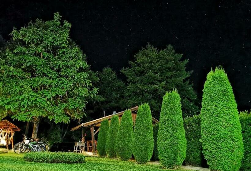 Pensiunea Colt De Rai