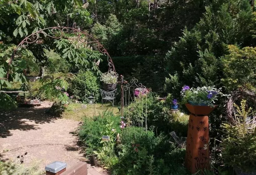Spacious Apartment In Harz Near Ski Area