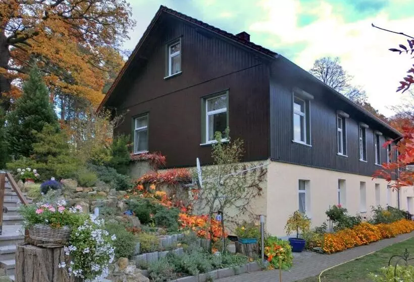 Spacious Apartment In Harz Near Ski Area