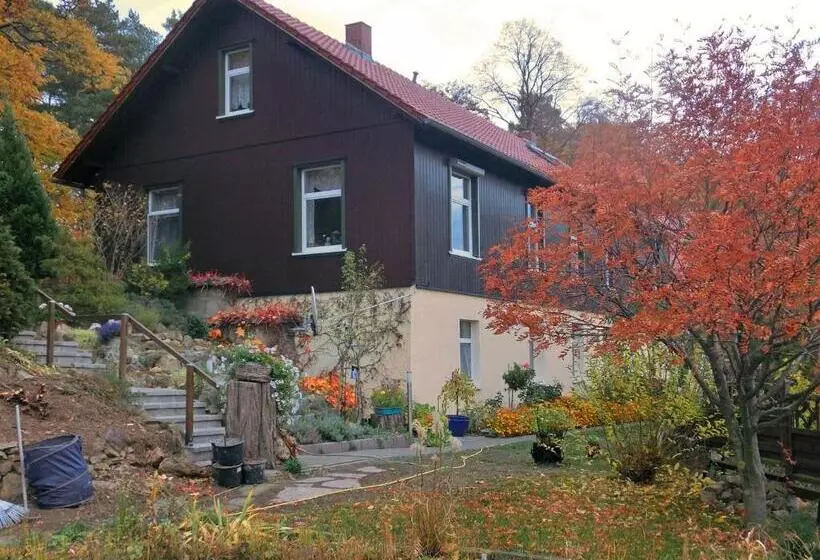 Spacious Apartment In Harz Near Ski Area