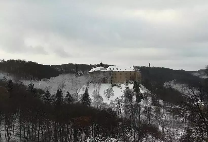 Spacious Apartment In Harz Near Ski Area