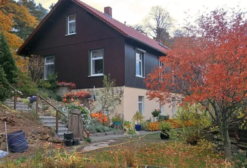 Spacious Apartment In Harz Near Ski Area
