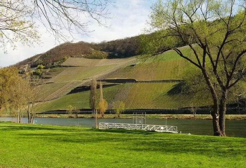 Apartment In Trittenheim With Terrace And Garden
