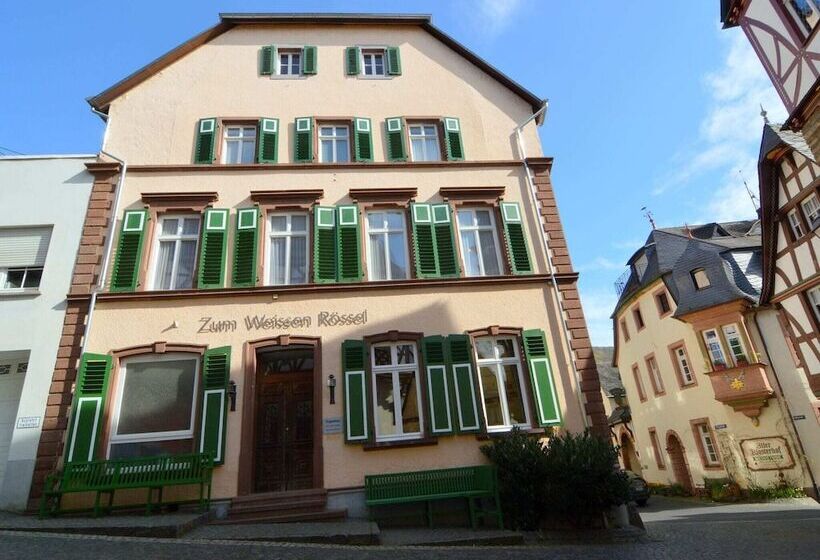 Classy Holiday Home In Rzig Near Forest