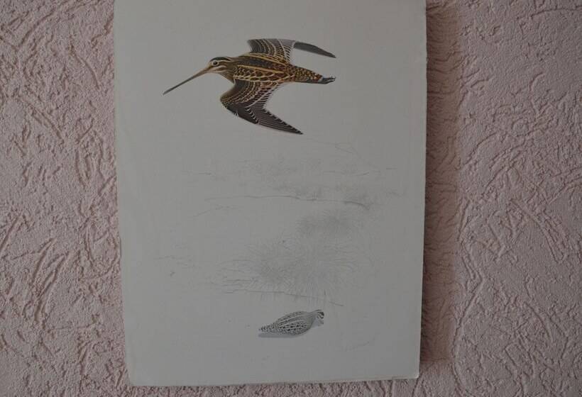 Classy Holiday Home In Rzig Near Forest