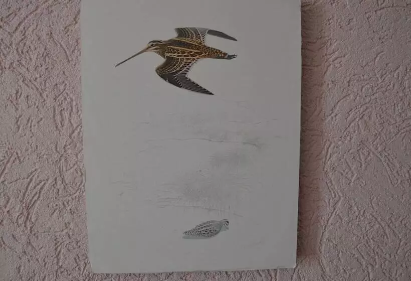 Classy Holiday Home In Rzig Near Forest