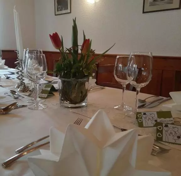 Hotelli Linde Diersburg