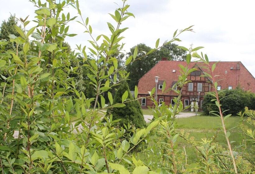 酒店 Landhaus In Gressow Mit Terrasse