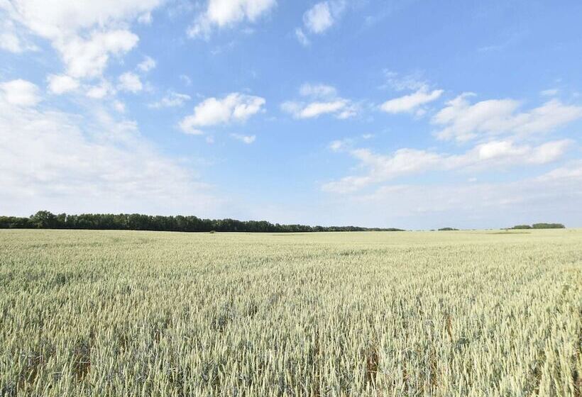 酒店 Landhaus In Gressow Mit Terrasse