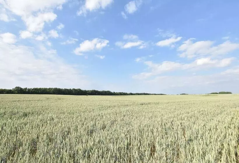 Hotelli Landhaus In Gressow Mit Terrasse