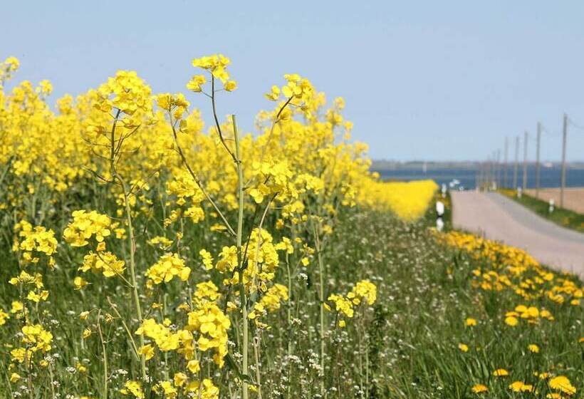 酒店 Landhaus In Gressow Mit Terrasse