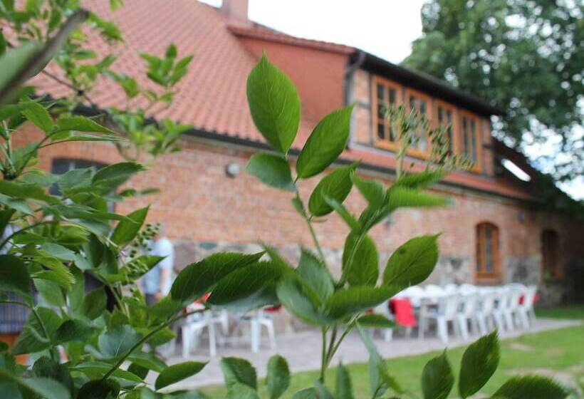 酒店 Landhaus In Gressow Mit Terrasse