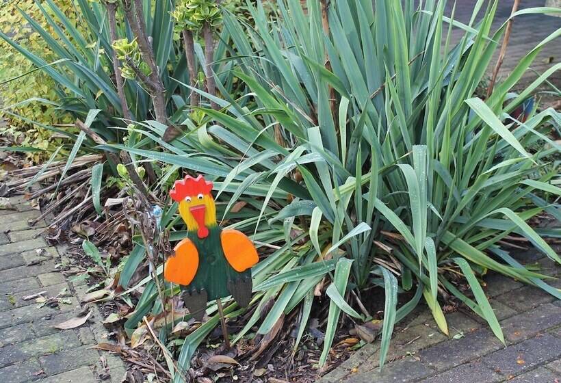 Modern Bungalow In Rerik With Terrace
