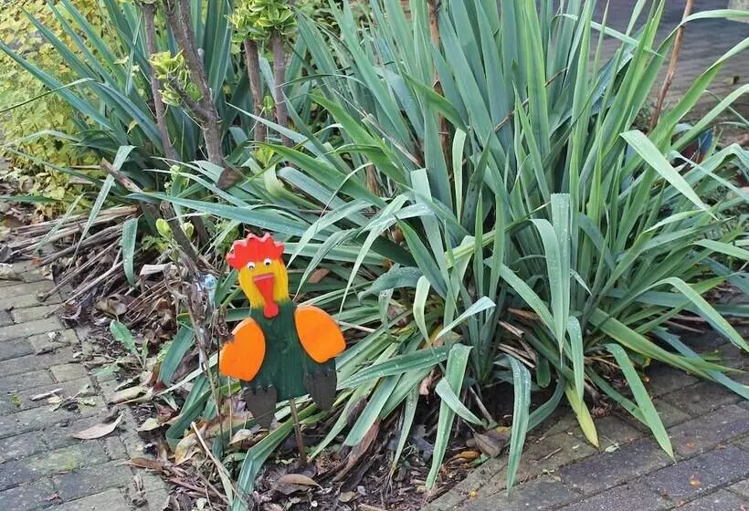 Modern Bungalow In Rerik With Terrace