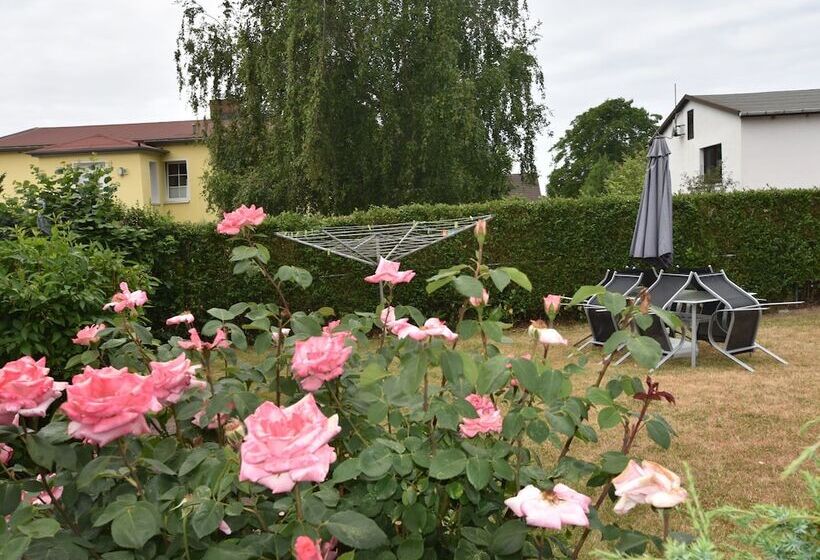 Modern Bungalow In Rerik With Terrace