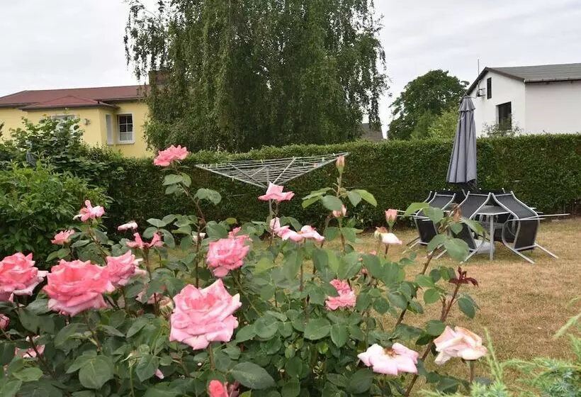 Modern Bungalow In Rerik With Terrace