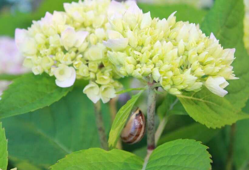 Modern Bungalow In Rerik With Terrace