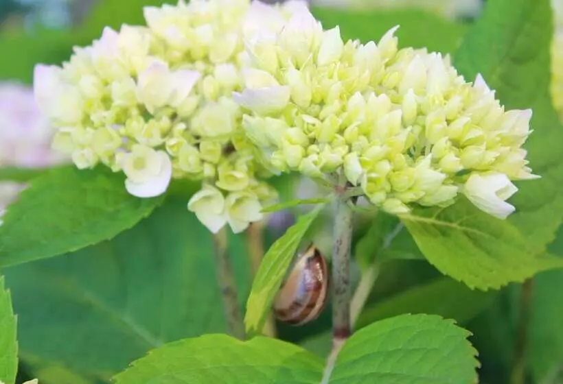 Modern Bungalow In Rerik With Terrace