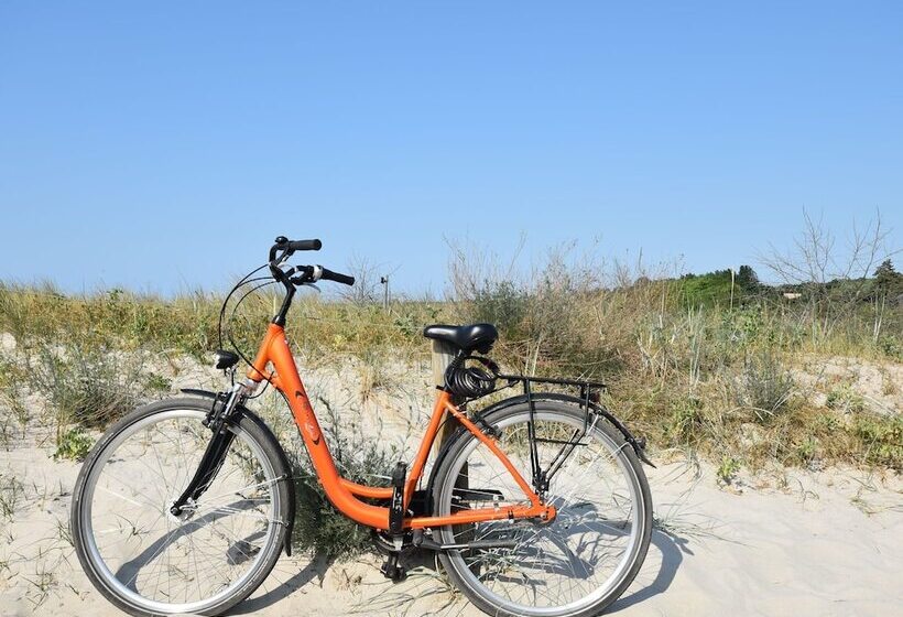 Modern Bungalow In Rerik With Terrace