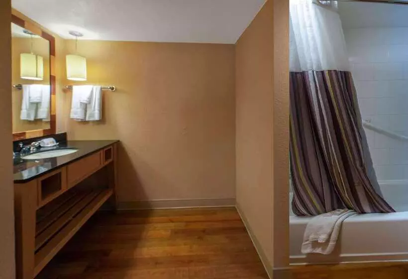 בית מלון כפרי La Quinta I 95 Deerfield Beach   Next To The Home Depot & Behind The Wawa