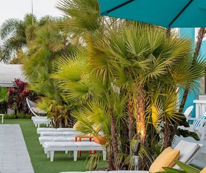 Отель The Vagabond