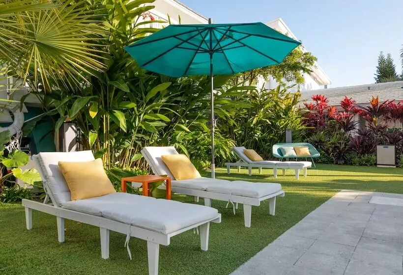 Отель The Vagabond