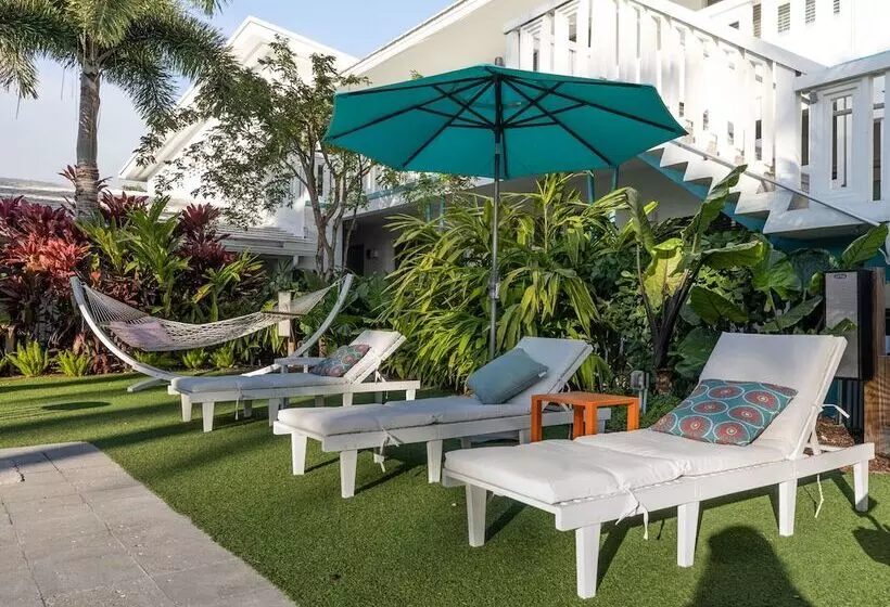 Отель The Vagabond