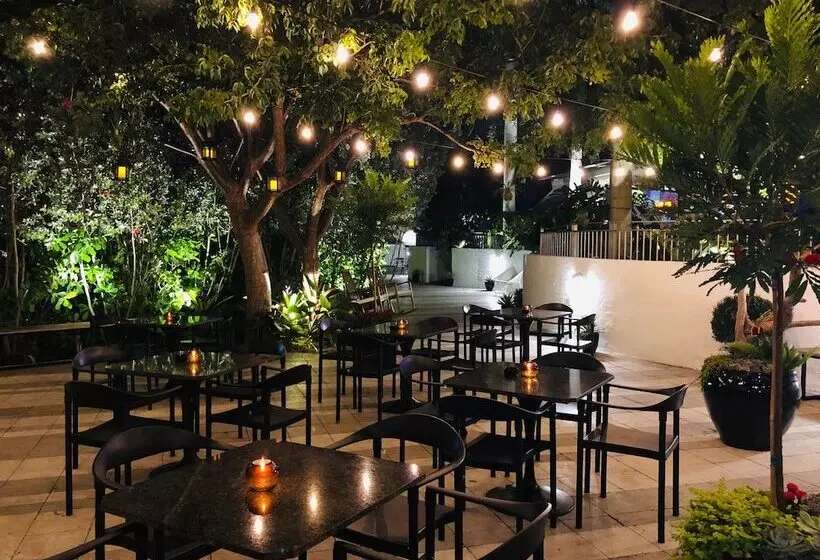 Отель The Vagabond