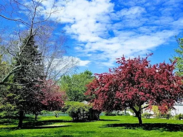 ホテル Whalewalk Inn And Spa