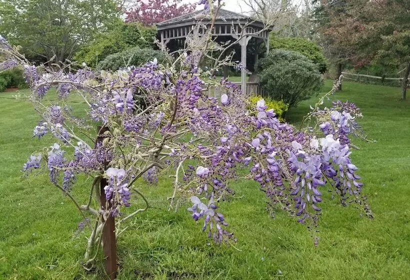 ホテル Whalewalk Inn And Spa