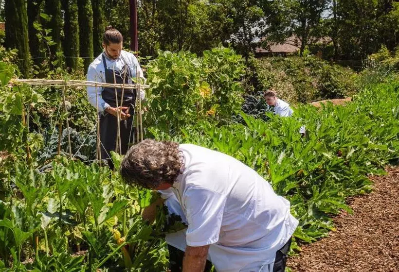 فندق Vintners Resort