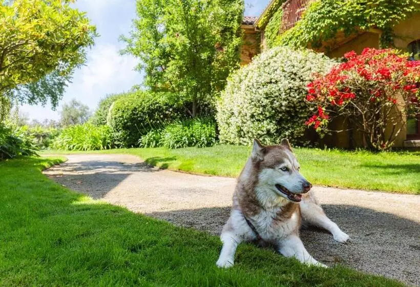 فندق Vintners Resort