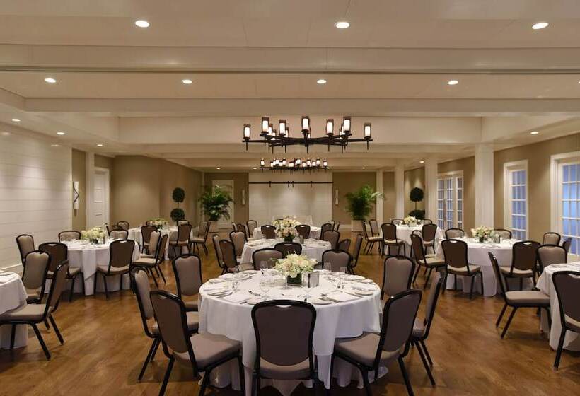 استراحتگاه White Elephant