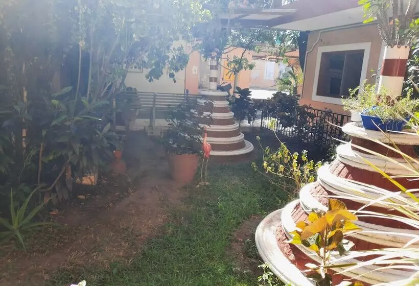 هتل Rio Colima