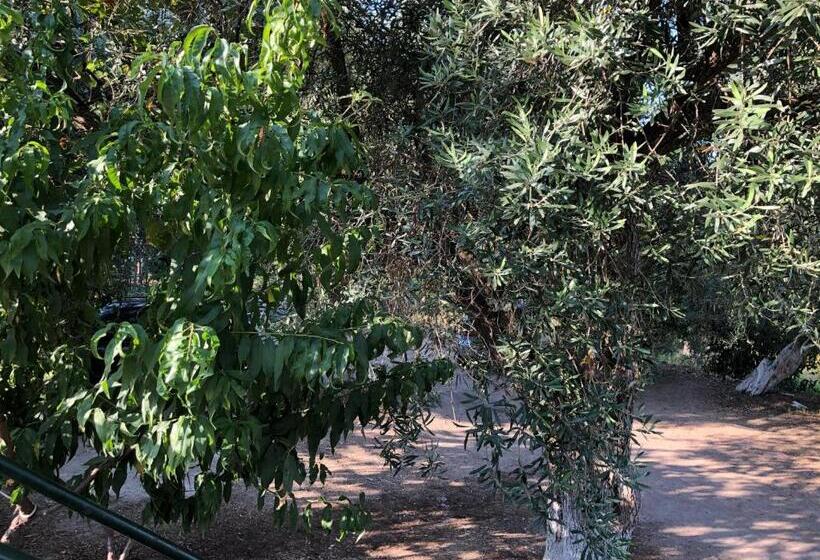 ペンション Koks’ Guesthouse