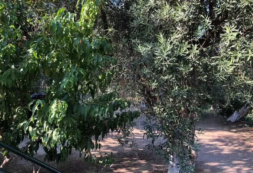 پانسیون Koks’ Guesthouse