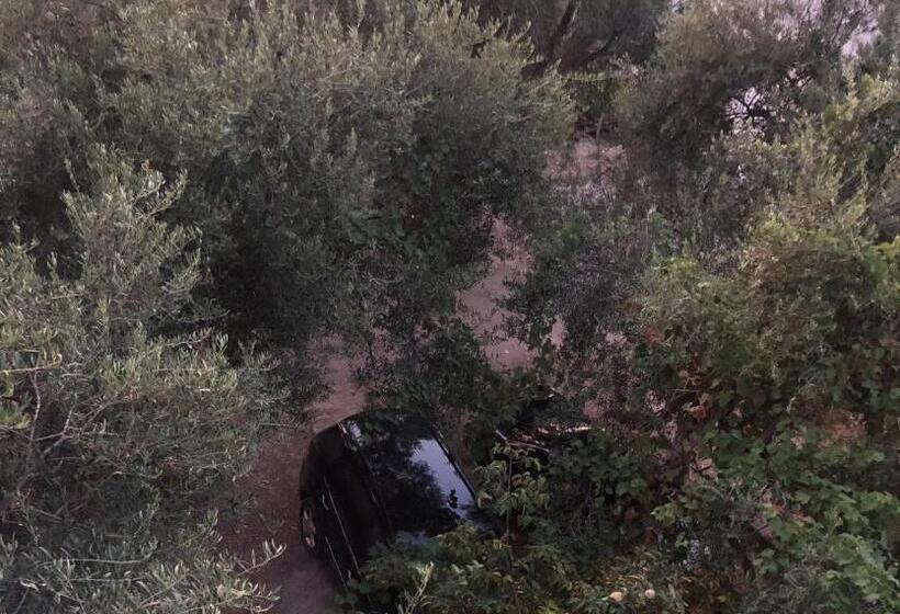 ペンション Koks’ Guesthouse