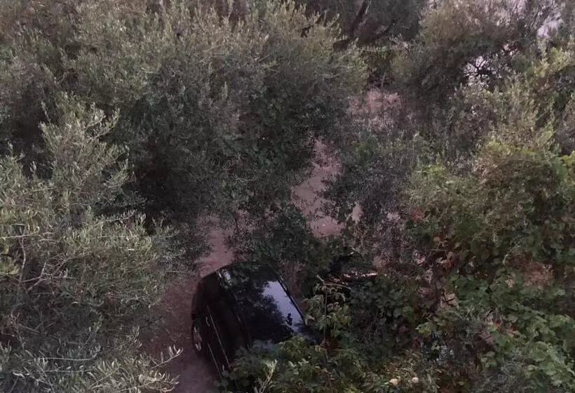 پانسیون Koks’ Guesthouse