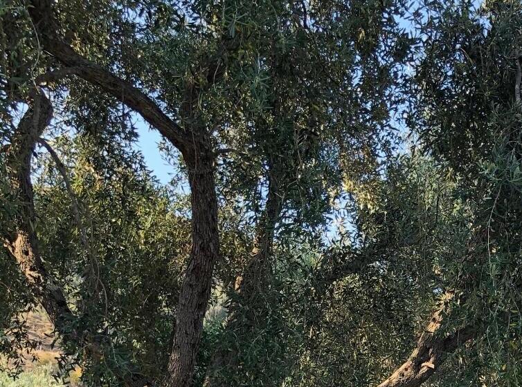 ペンション Koks’ Guesthouse