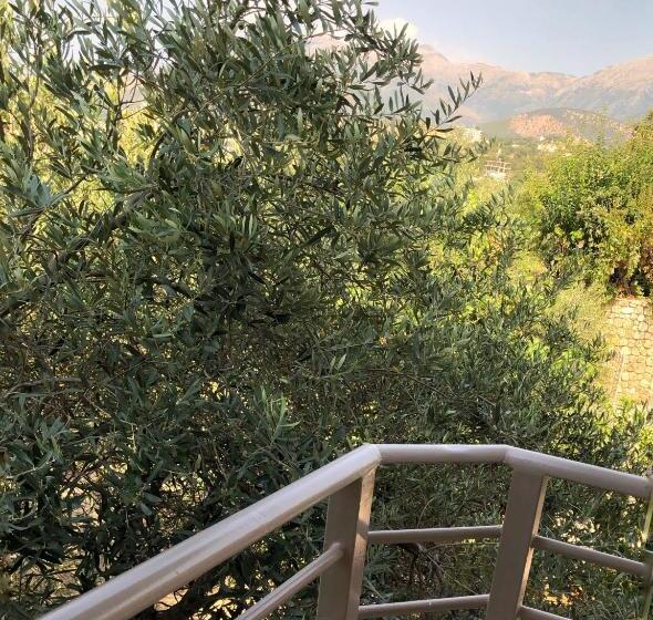 ペンション Koks’ Guesthouse