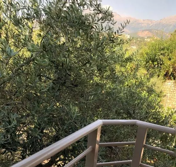 پانسیون Koks’ Guesthouse