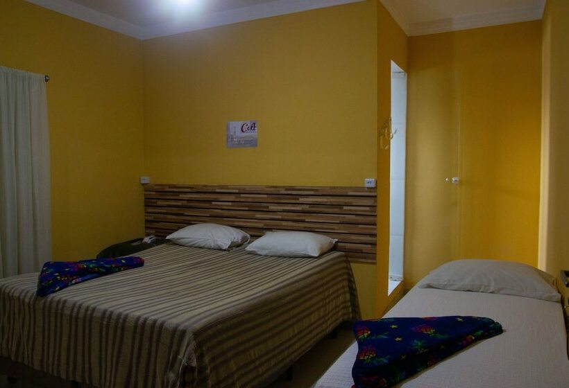 ベッドアンドブレックファースト Colt