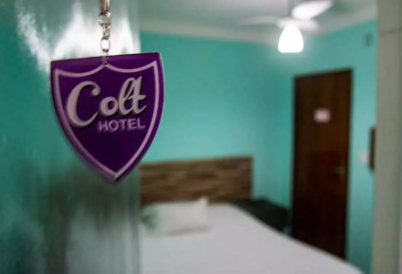 ベッドアンドブレックファースト Colt