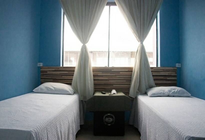 ベッドアンドブレックファースト Colt