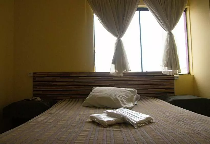 ベッドアンドブレックファースト Colt