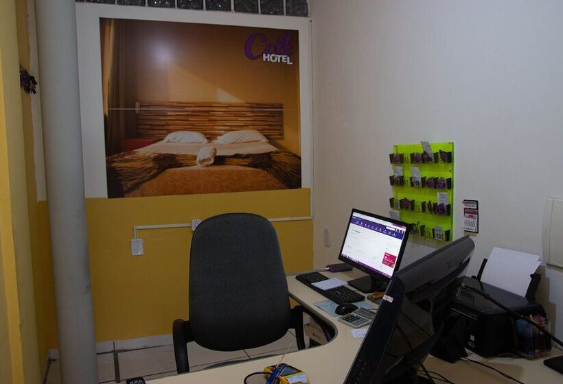 ベッドアンドブレックファースト Colt